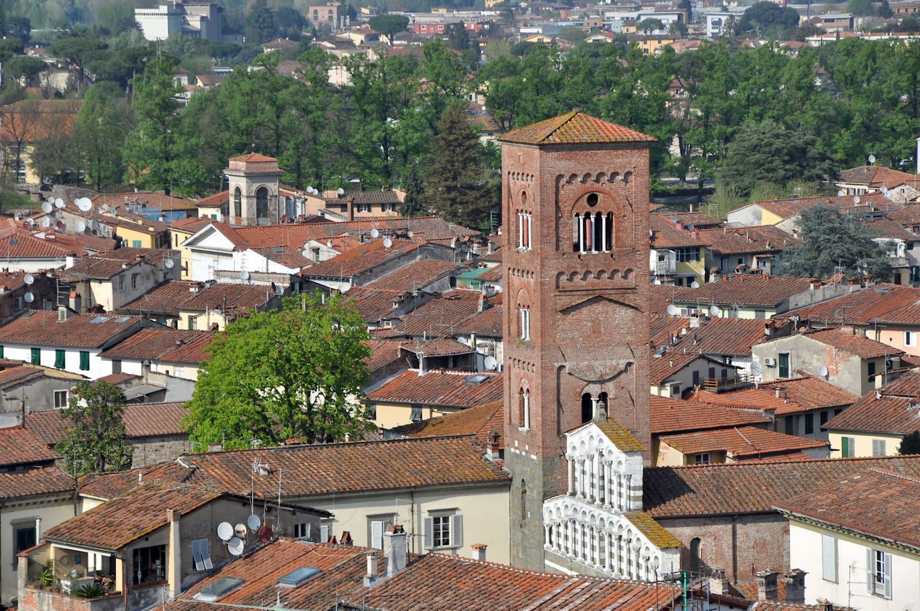 Lucca, Torre Guinigi